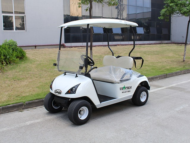 二座高爾夫球車外DG-C2